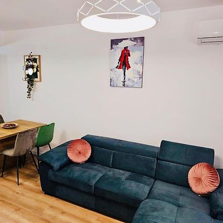 Joy City Stay Mara M10-12 티미쇼아라 외부 사진